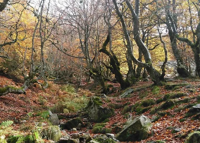 Дом отдыха El Mirador Del Hayedo Риофрио-де-Риаса